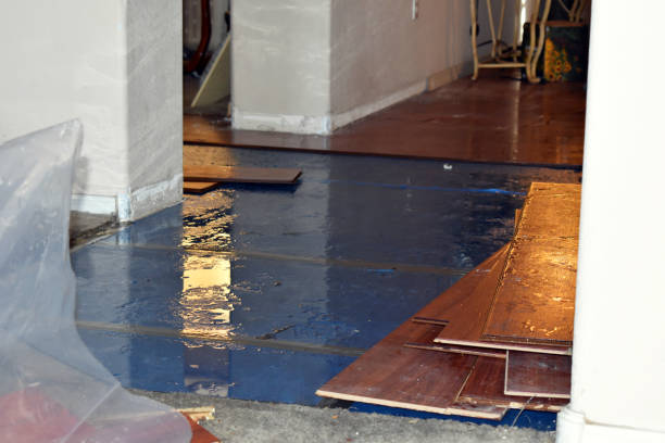 Professional Water Damage Restoration technician working in Litchville, ND